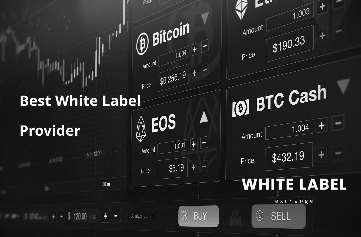 The Best White Label Provider for Your Crypto Exchange